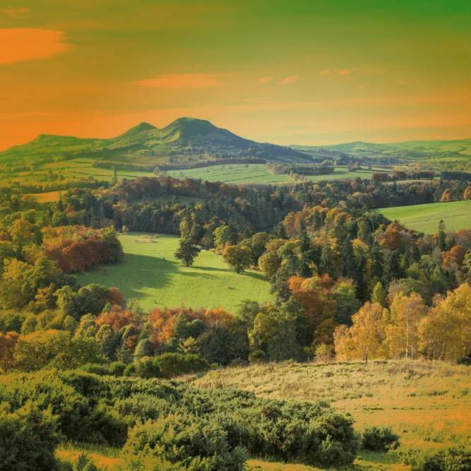 natural landscape with orange and green hues
