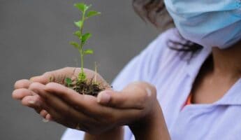 A person wearing a blue face mask and white clothing is gently holding a small green plant with both hands. The plant has a few leaves and is rooted in a small amount of soil. The background is blurred, highlighting the plant and the hands.