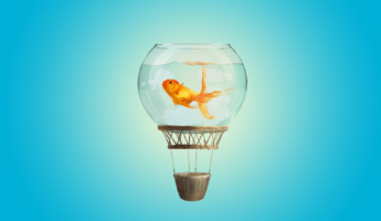 A whimsical scene features a goldfish swimming inside a glass fishbowl that serves as a hot air balloon. The basket, attached below, floats against a bright blue background, giving a surreal impression of flight.